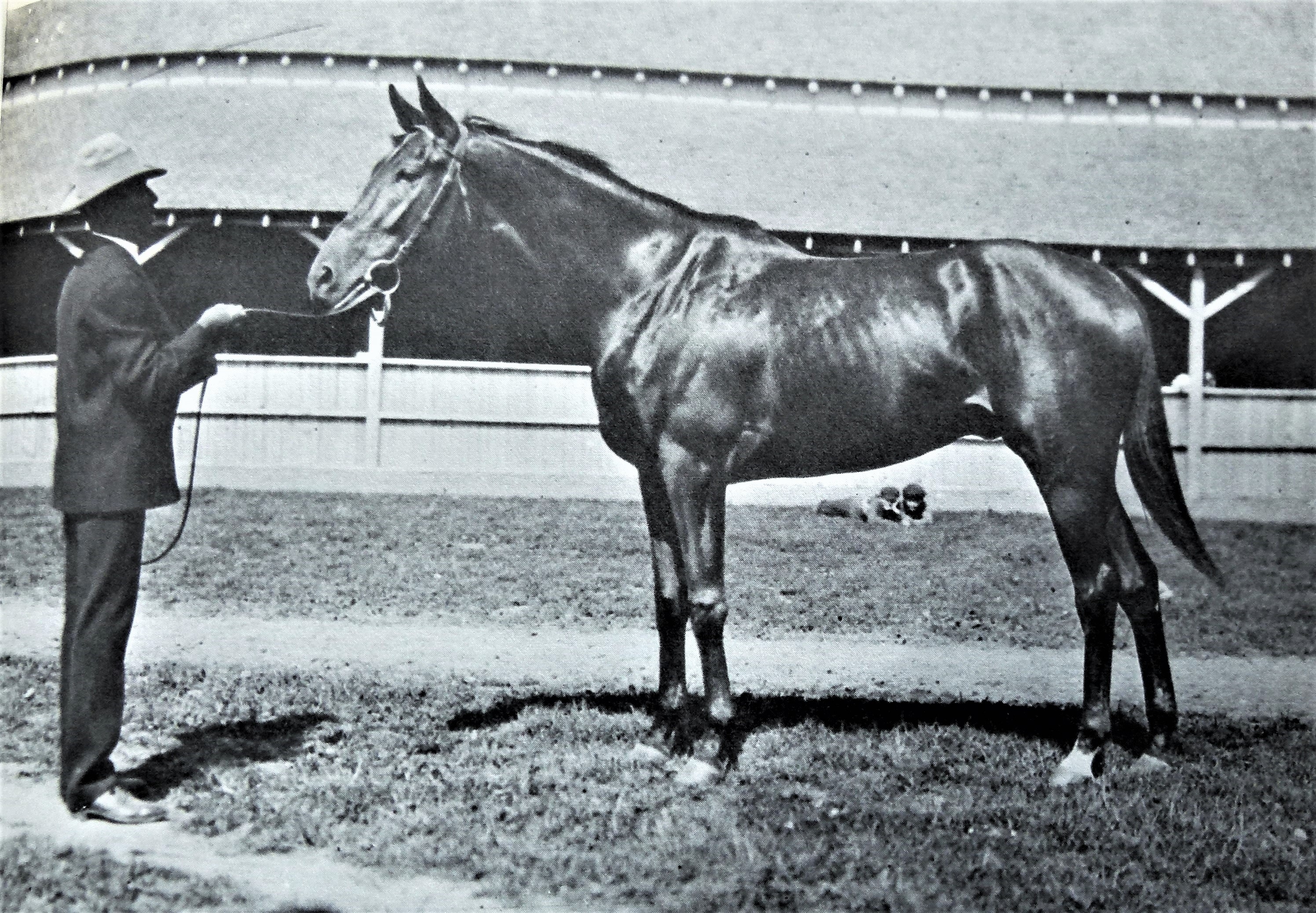 Sysonby: Artful inflicted his only defeat in a 15-race career, and his groom is said to have confessed later that he had drugged the horse before the race (in which he still ran third)