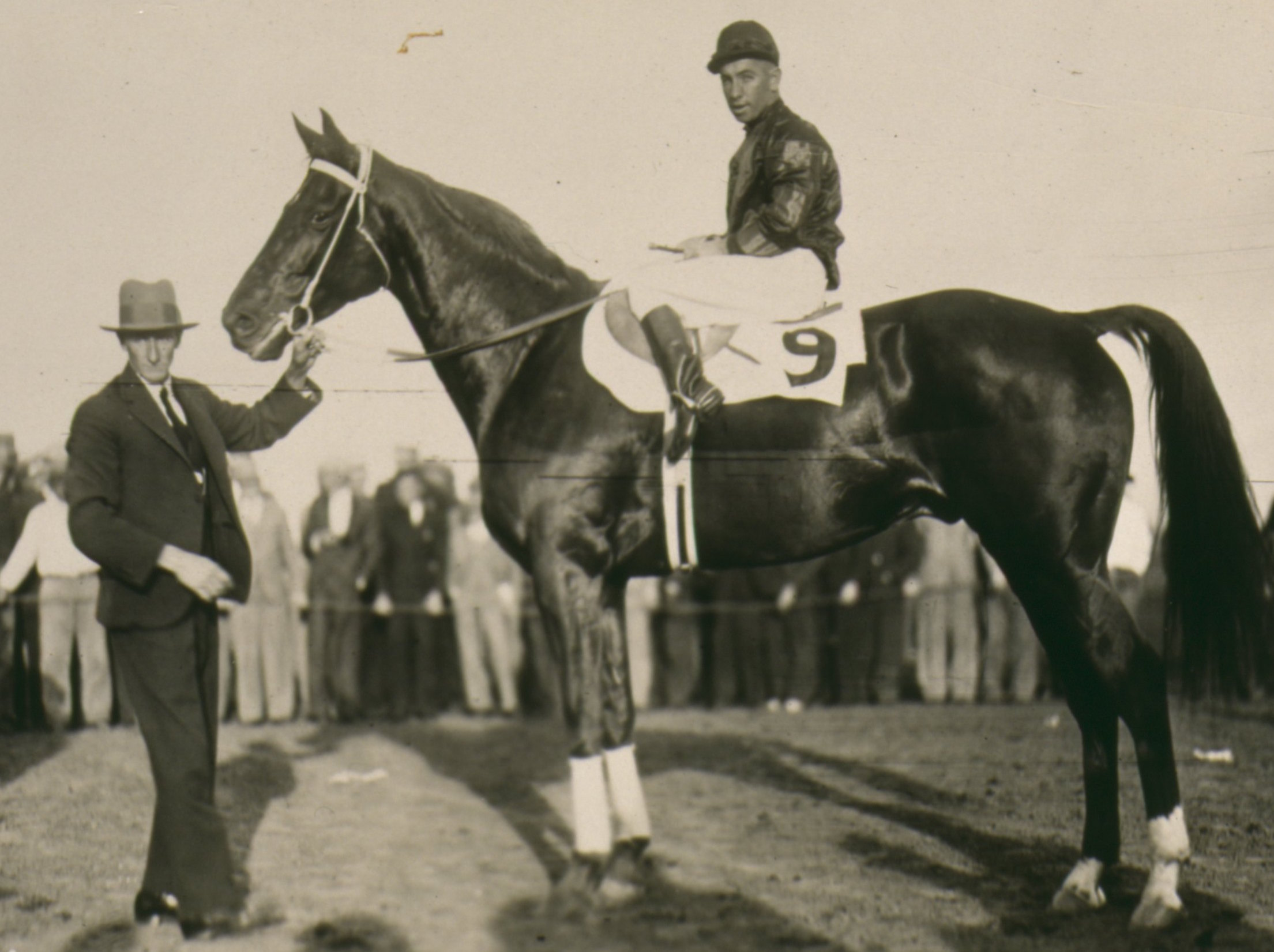 The great Phar Lap with then trainer Tommy Woodock and jockey Billy Elliott after winning the Agua Caliente Handicap in 1932. Photo: Museums Victoria