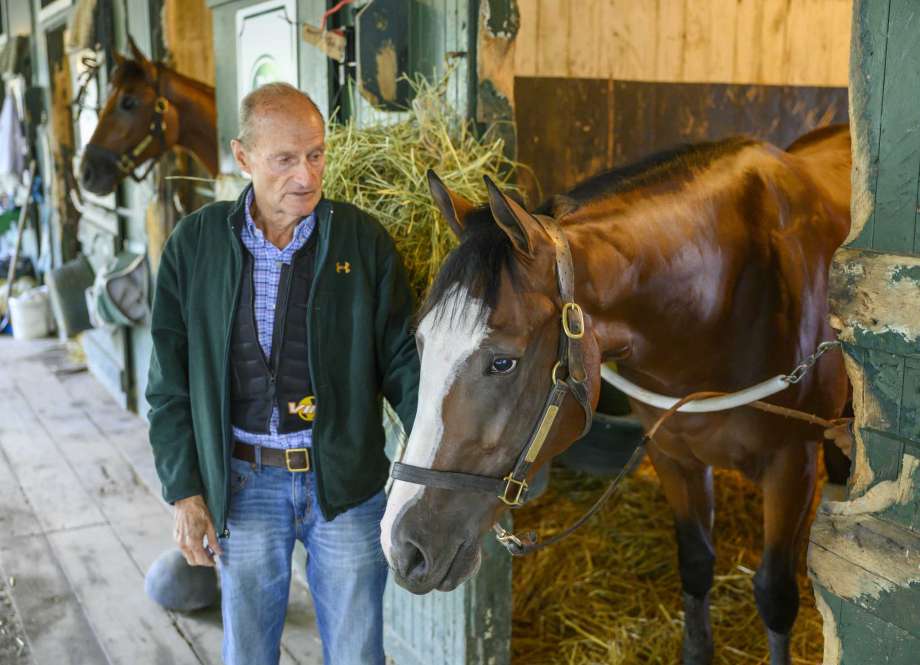 Developing relationship: Barclay Tagg with the 2-year-old Tiz The Law. Photo: Jockey Club