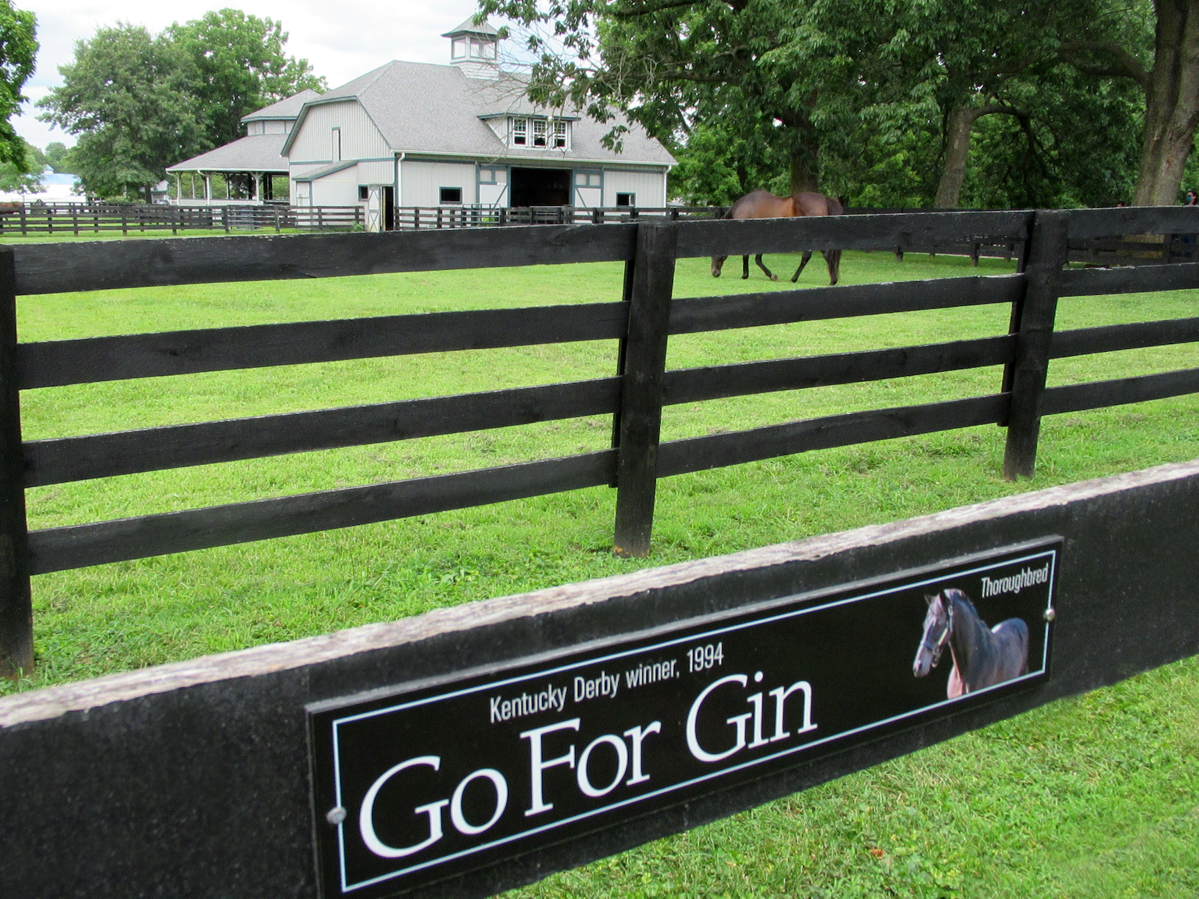 ”There are a number of people who come out here, and this is the very first Kentucky Derby winner they have ever interacted with,” says Paul Caywood from the Hall of Champions. Photo: Amanda Duckworth