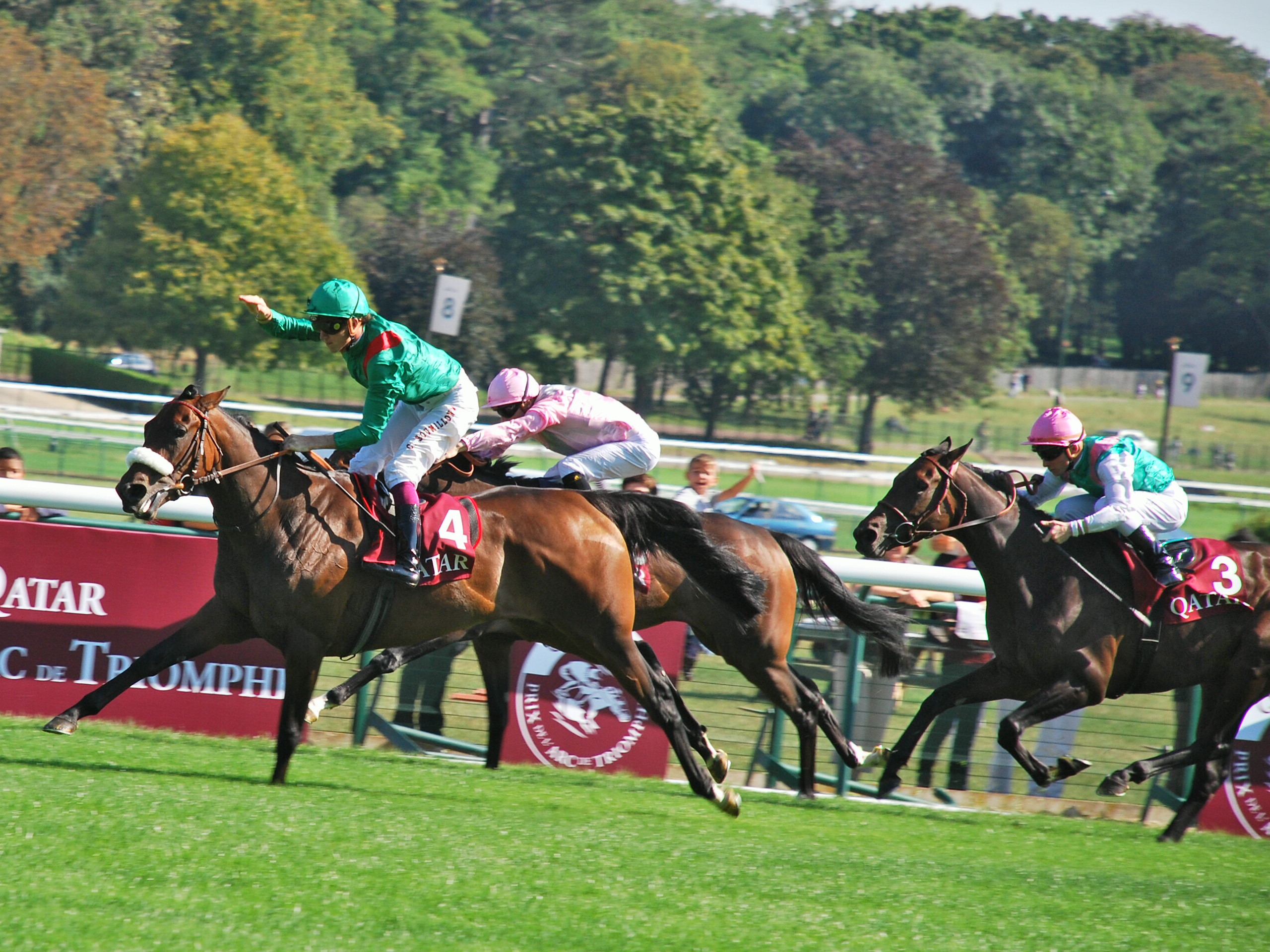 The best I’ve trained: “Zarkava did something incredible in the Priz Vermeilla,” says Royer-Dupré. “She was at least ten lengths behind the leader entering the straight and cruised past to win without any effort.” Photo: John Gilmore