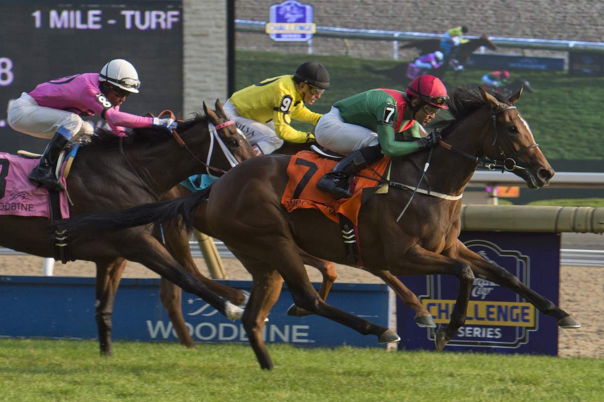 €26,000 Goffs Orby yearling purchase Capla Temptress winning the 2017 G1 Natalma Stakes at Woodbine. Photo: Michael Burns