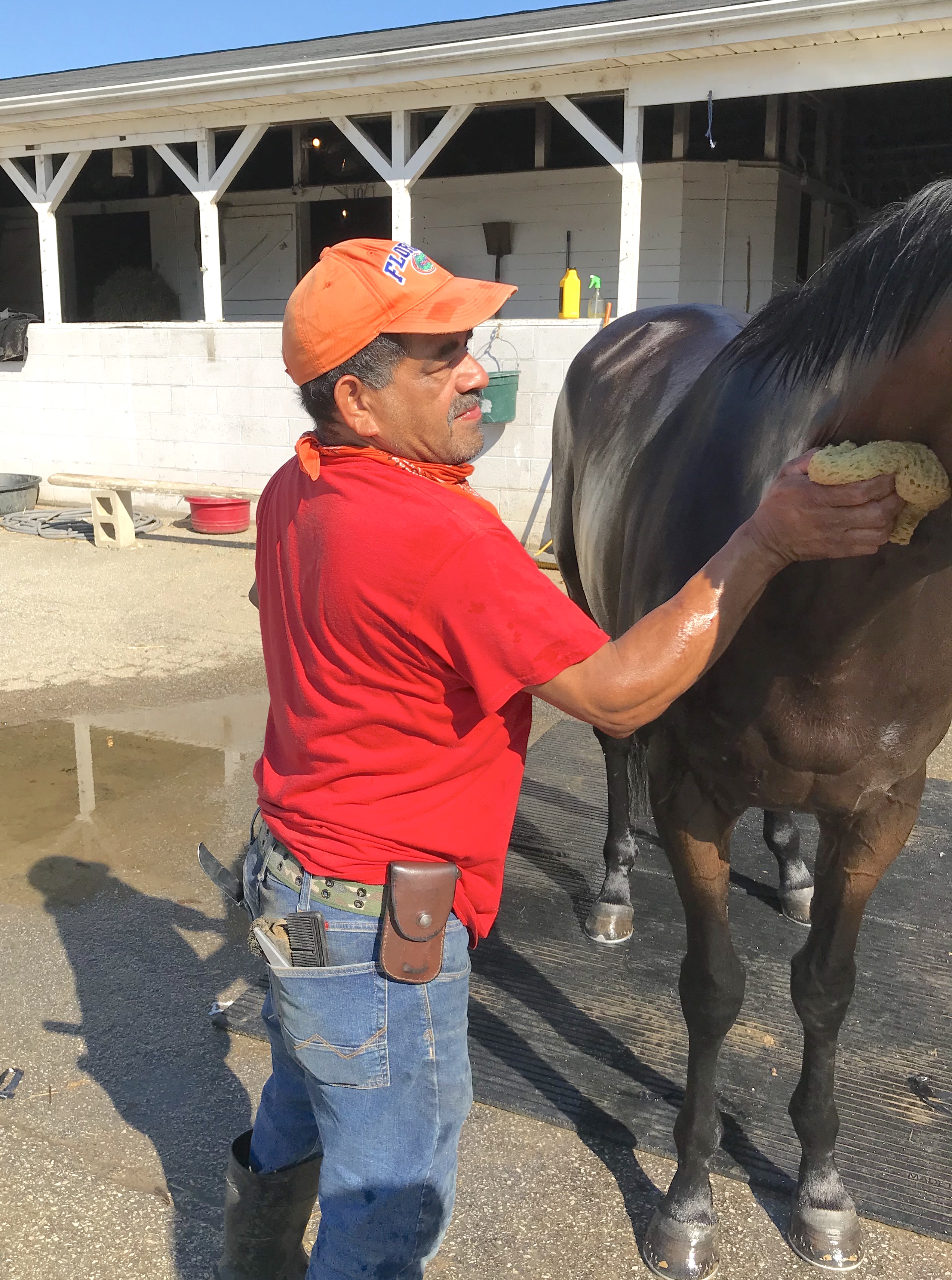 The horse comes first: “I thank God and this country for letting me work here,” says Aníbal Aguilar. Photo: Ken Snyder
