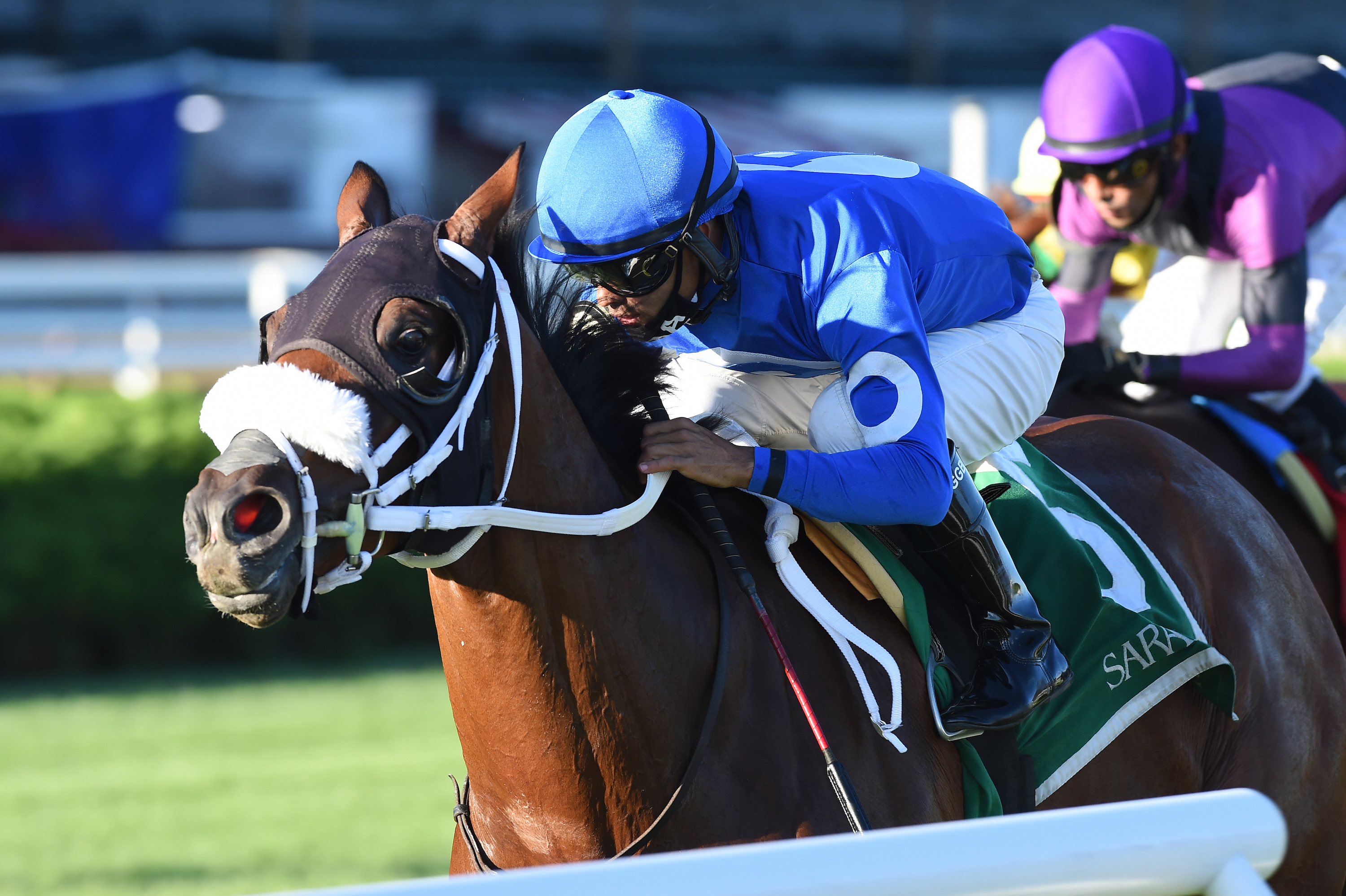 Success at Saratoga: Rinaldi, owned and trained by the Bonds, winning the West Point Stakes earlier this month. Photo: Chelsea Durand/NYRA.com