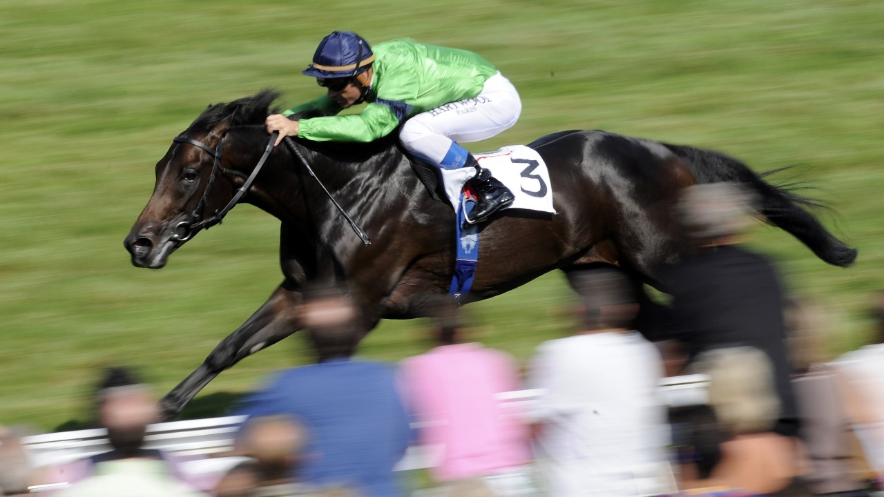 Deja vu: Firebreak’s son Hearts Of Fire, another bargain buy as a yearling (in his case a mere £13,000), emulated his sire by winning a G1 and again by going to the Tattersalls Autumn Horses in Training Sale and selling for more than half a million pounds. Photo: Edward Whitaker/Racing Post