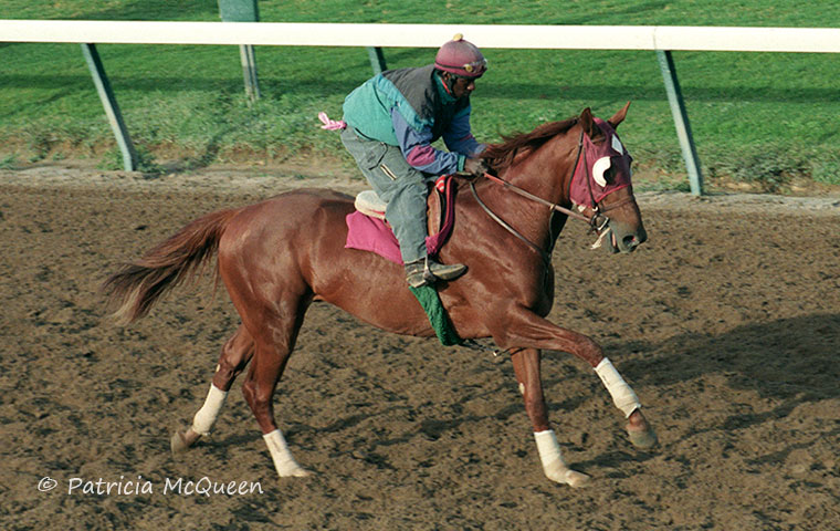 Trainer Harvey Vanier credited ‘tighter’ training for Lt. Pinkerton’s breakout performance, in the Jefferson Cup at Churchill Downs in May 1993, which was the first stakes win from any horse in Secretariat’s final crop. Photo: Patricia McQueen
