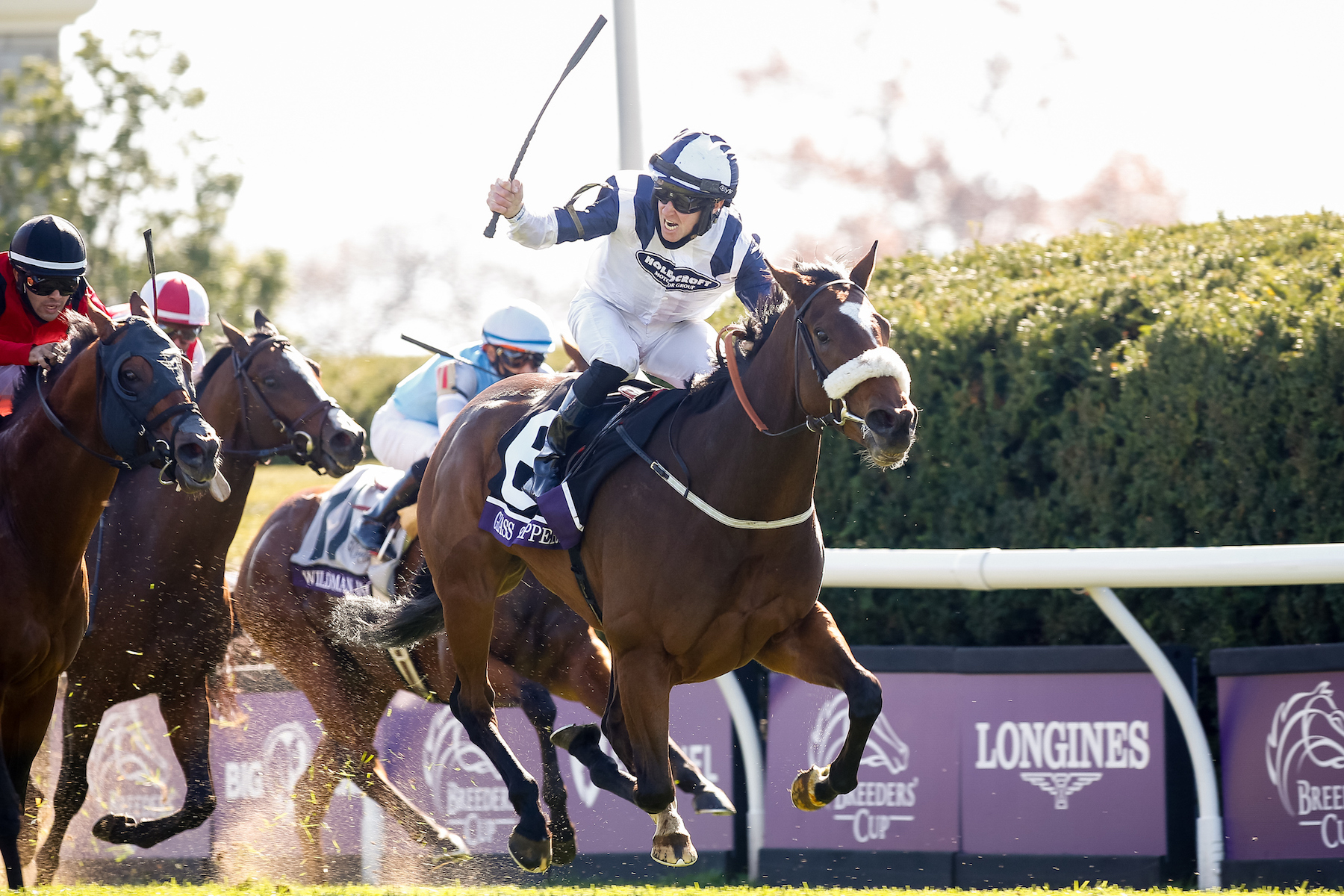 Exhilaration: Glass Slippers and jockey Tom Eaves triumph in the Turf Sprint. Photo: Carolyn Simancik/Breeders’ Cup/Eclipse Sportswire/CSM