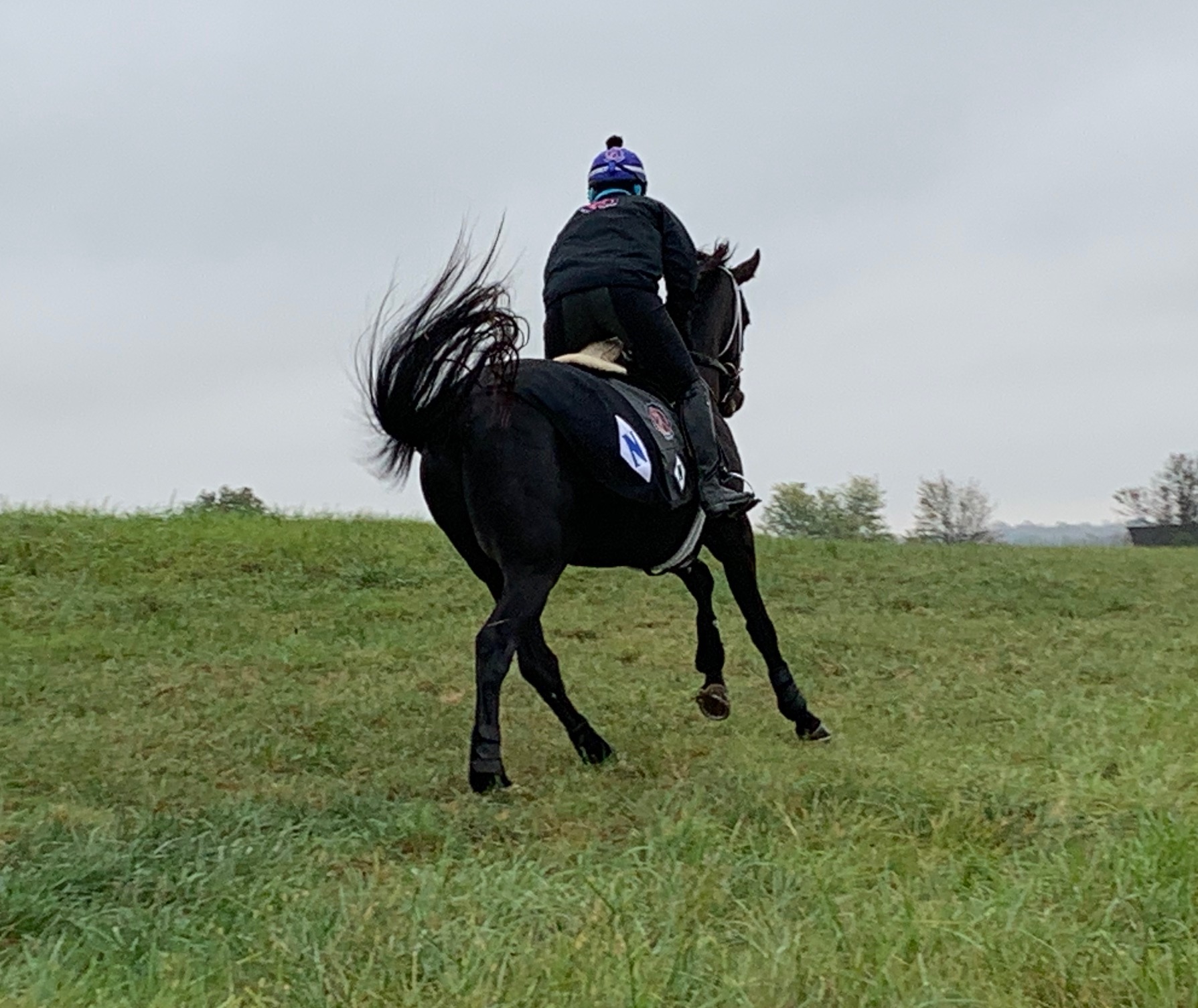  “It’s proving to be successful,” says Michelle Nihei. “The horses are all running first, second, third, in Maiden Special Weights”