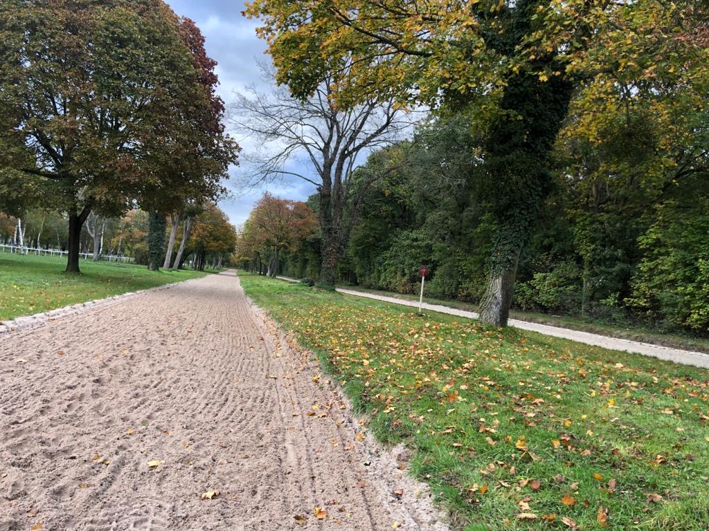 One of the gallops at Maisons-Laffitte. Photo: Veronique Bertran de Balanda