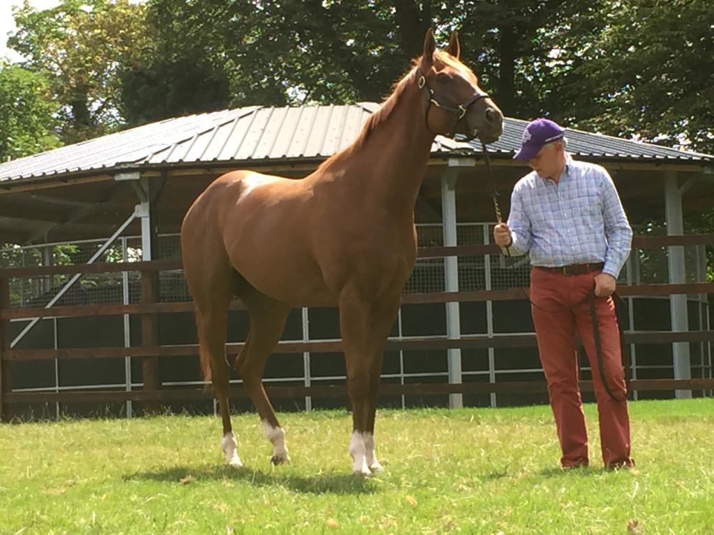 Adrian Beaumont in trademark bright chinos with one of trainer Wesley Ward’s horses. “[Wesley] has been very good to work with,” he says. “His successes have given me great pleasure, as has anybody’s who tries something new”