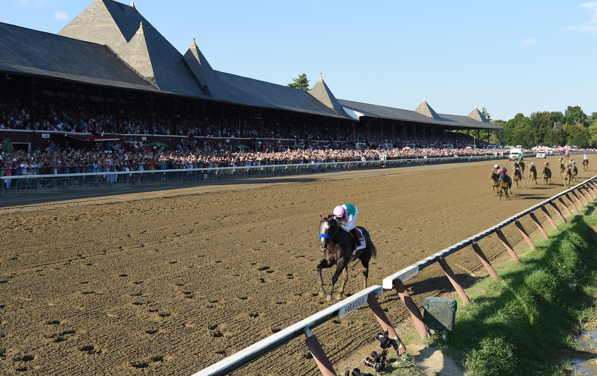 Different class: Arrogate announced himself as a potential champion with this stunning 13½-length victory in the Travers Stakes at Saratoga in August 2016. Photo: Jamie Coulter