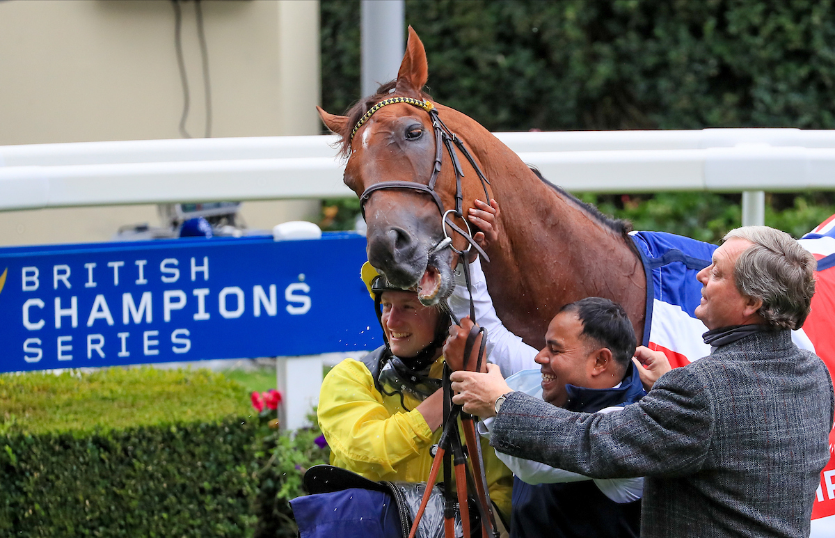 Patient handler: William Haggas (right) with Addeybb and Tom Marquand after winning the Champion Stakes at Ascot in October. Photo: Mark Cranham/focusonracing.com