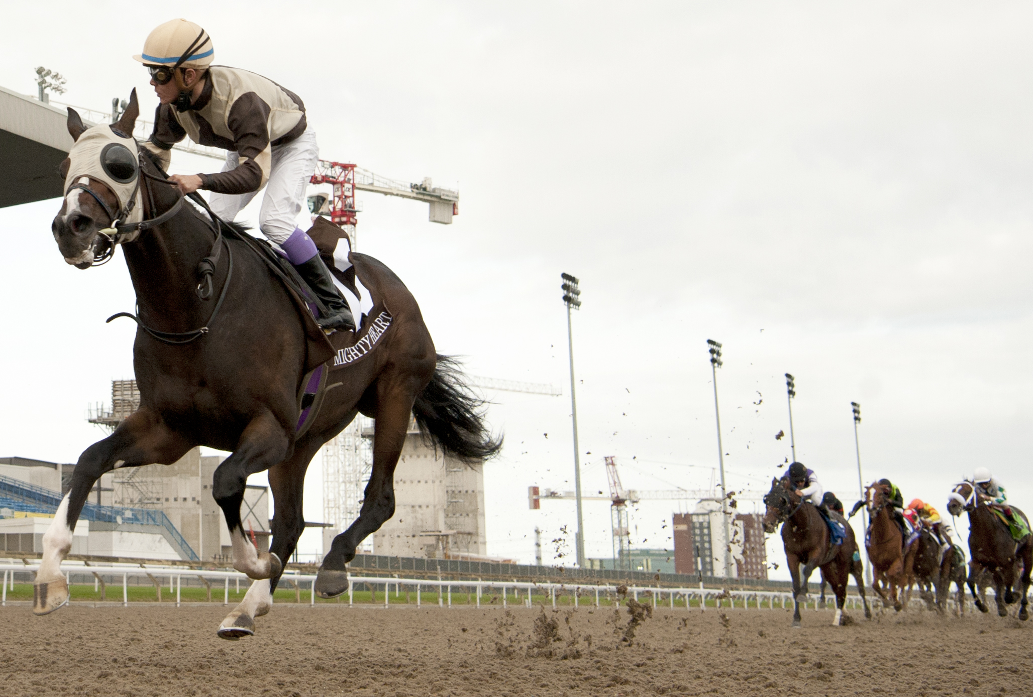 Mighty Heart is a runaway winner of Canada’s greatest race, the Queen’s Plate, at Woodbine racecourse in Toronto in September. Photo: Michael Burns