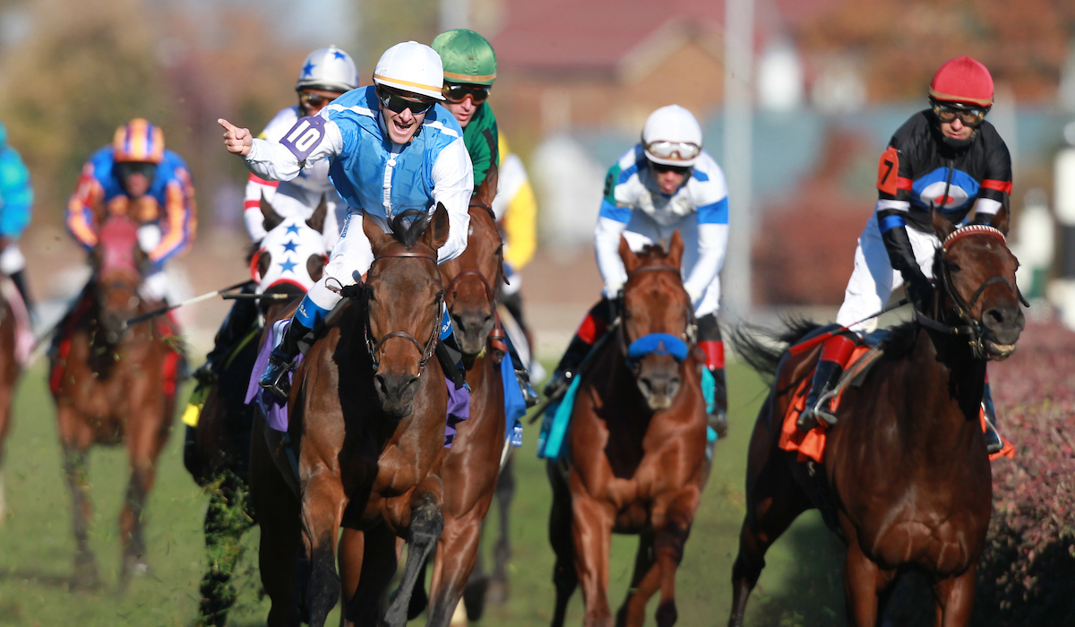 Attagirl! Olivier Peslier is celebrating already as Goldikova lands her third BC Mile ahead of runner-up Gio Ponti (green, mostly hidden) and third-placed The Usual QT at Churchill Downs in 2010. Photo: Breeders' Cup/Thom Shelby