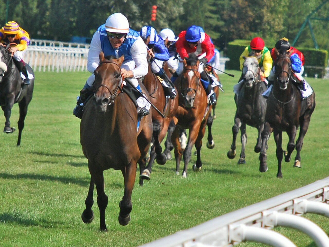 Whoosh! The victory that had all racing buzzing - Goldikova winning the 2009 Prix Jacques le Marois at Deauville by six lengths. Photo: John Gilmore