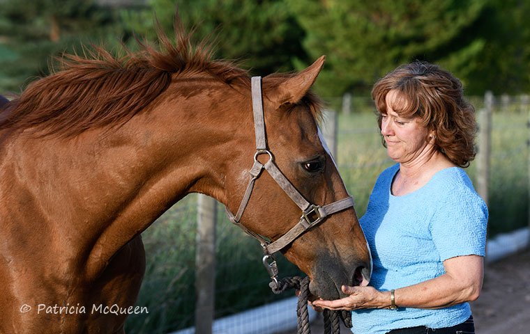 Linda Riba with ‘Strider’: “Having been entrusted with his care for nine years was a horse-crazy girl’s dream come true,” she says. Photo: Patricia McQueen
