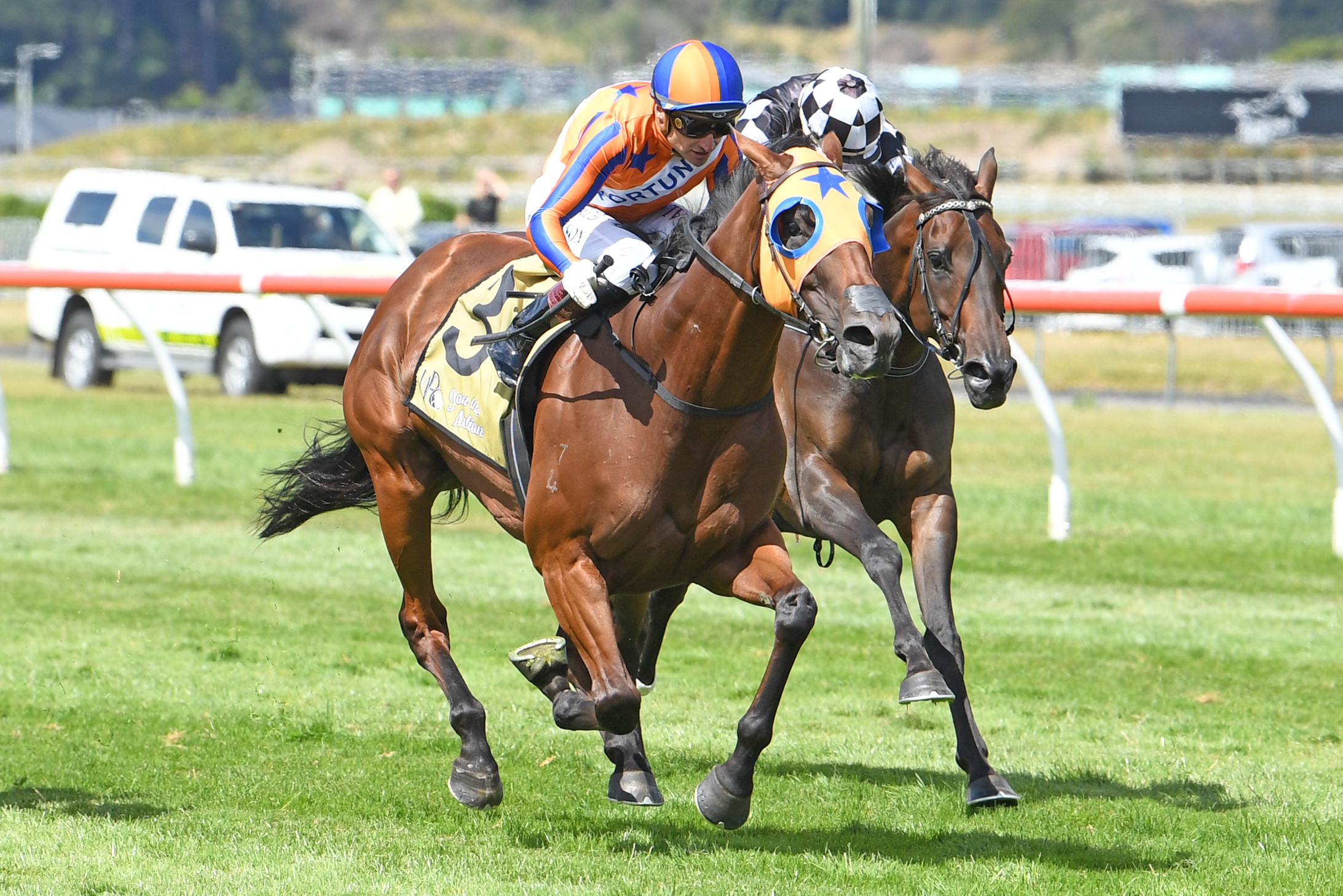 Melody Belle (hood) and Opie Bosson landing that historic G1 at Trentham on Saturday. Photo: Race Images/Peter Rubery