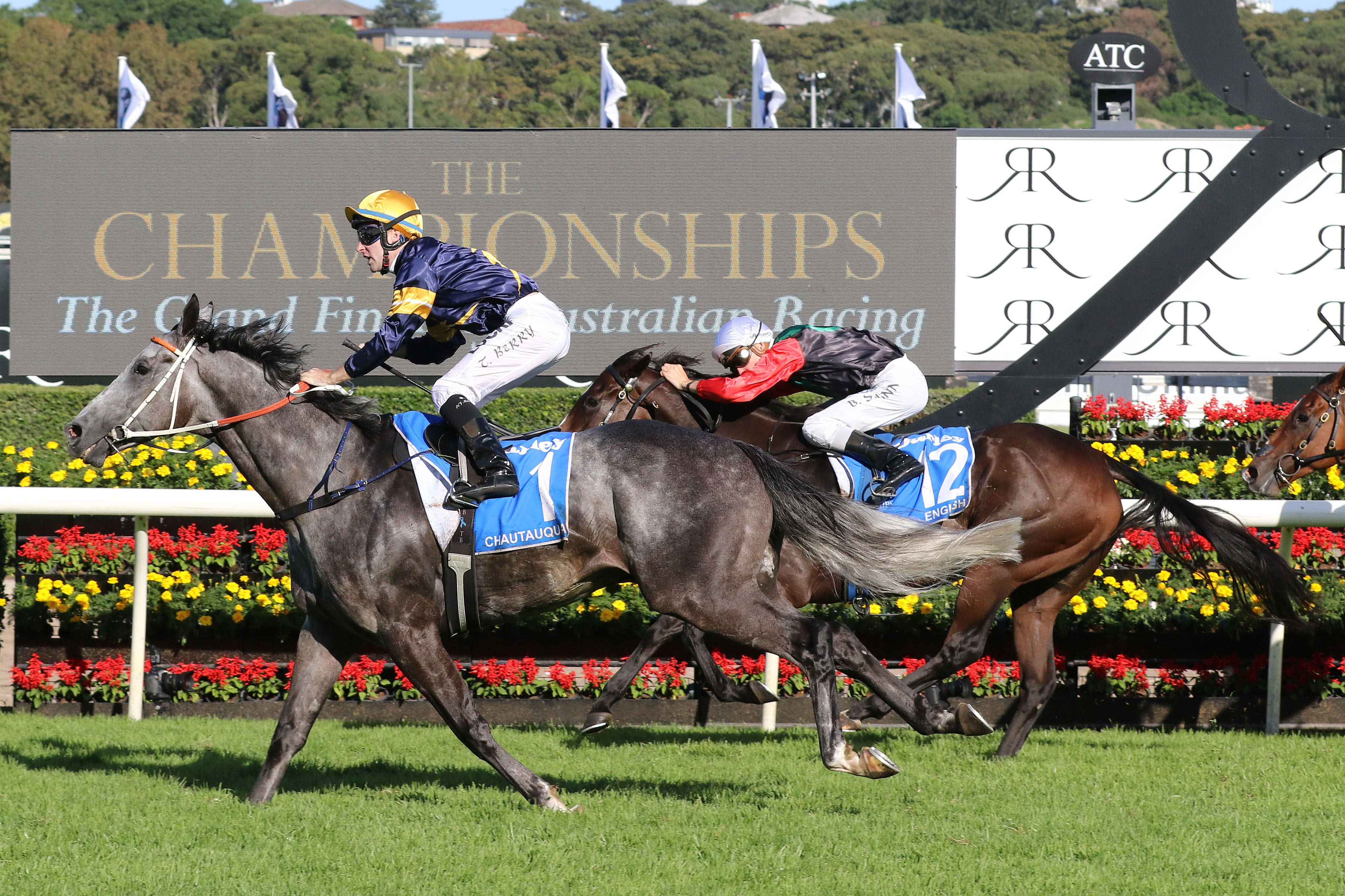 The (very) late show - but Tommy Berry is already beginning to enjoy the moment as Chautauqua hits the line in the 2017 TJ Smith at Randwick