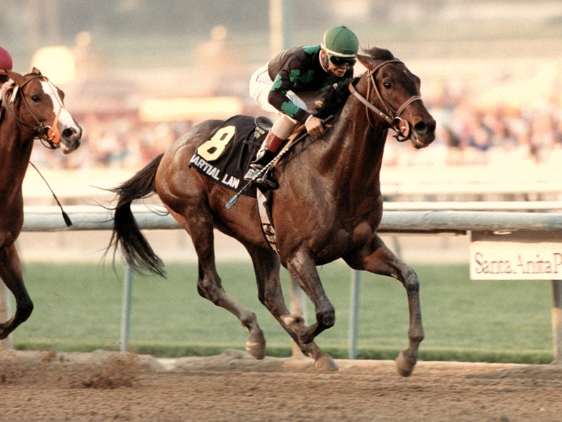 Martial Law did not let his connections down, winning the Santa Anita Handicap convincingly. Photo: Team Valor International