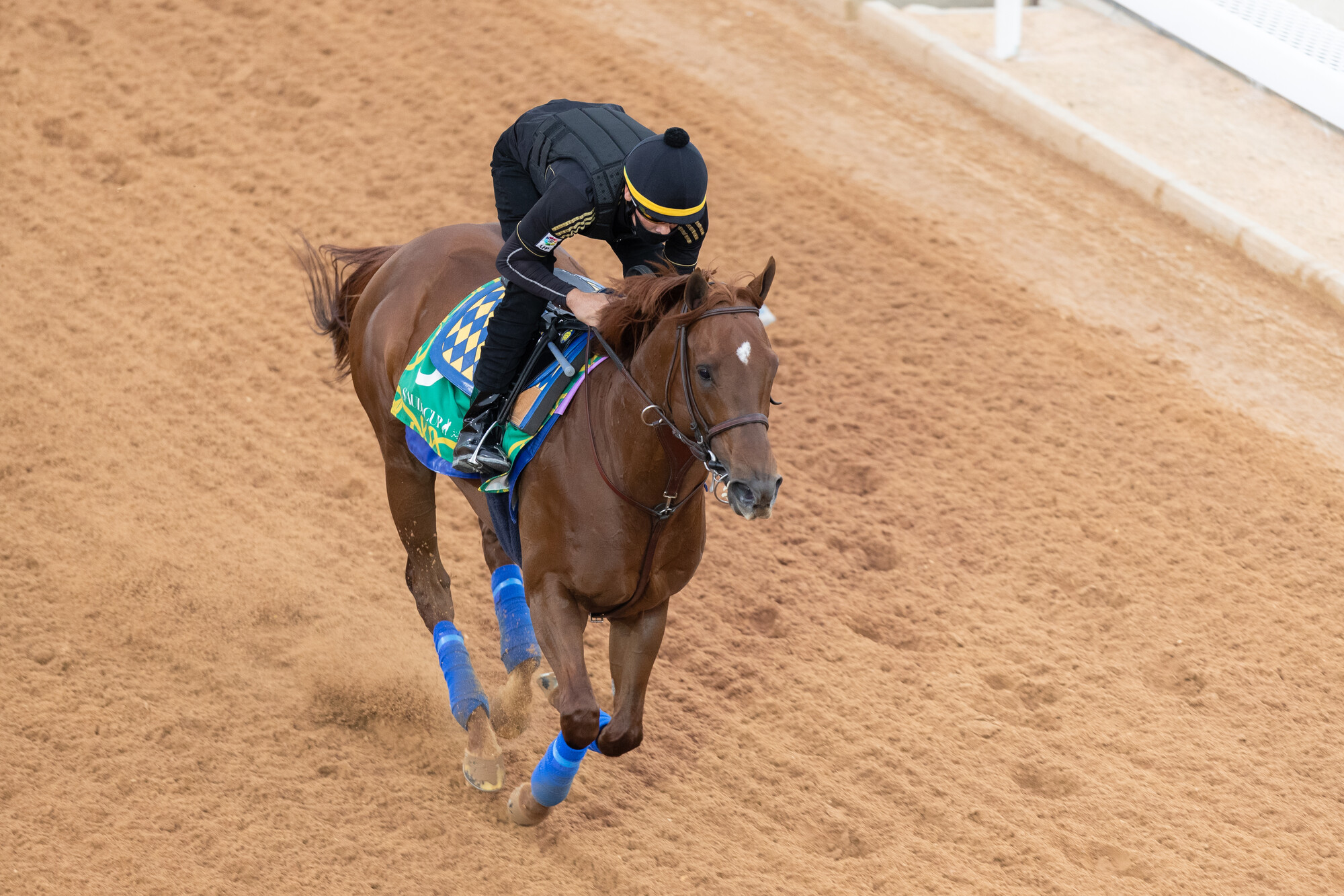 Charlatan on the King Abdulaziz track on Thursday: ‘Big Money’ Mike Smith will be out to go one better on the Bob Baffert-trained colt in the Saudi Cup on Saturday. Photo: Neville Hopwood/Jockey Club of Saudi Arabia