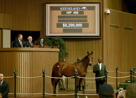 Selling well in the U.S: The American Pharoah-Leslie’s Lady filly going for $8.2m at Keeneland in 2019. Photo: Horsephotos