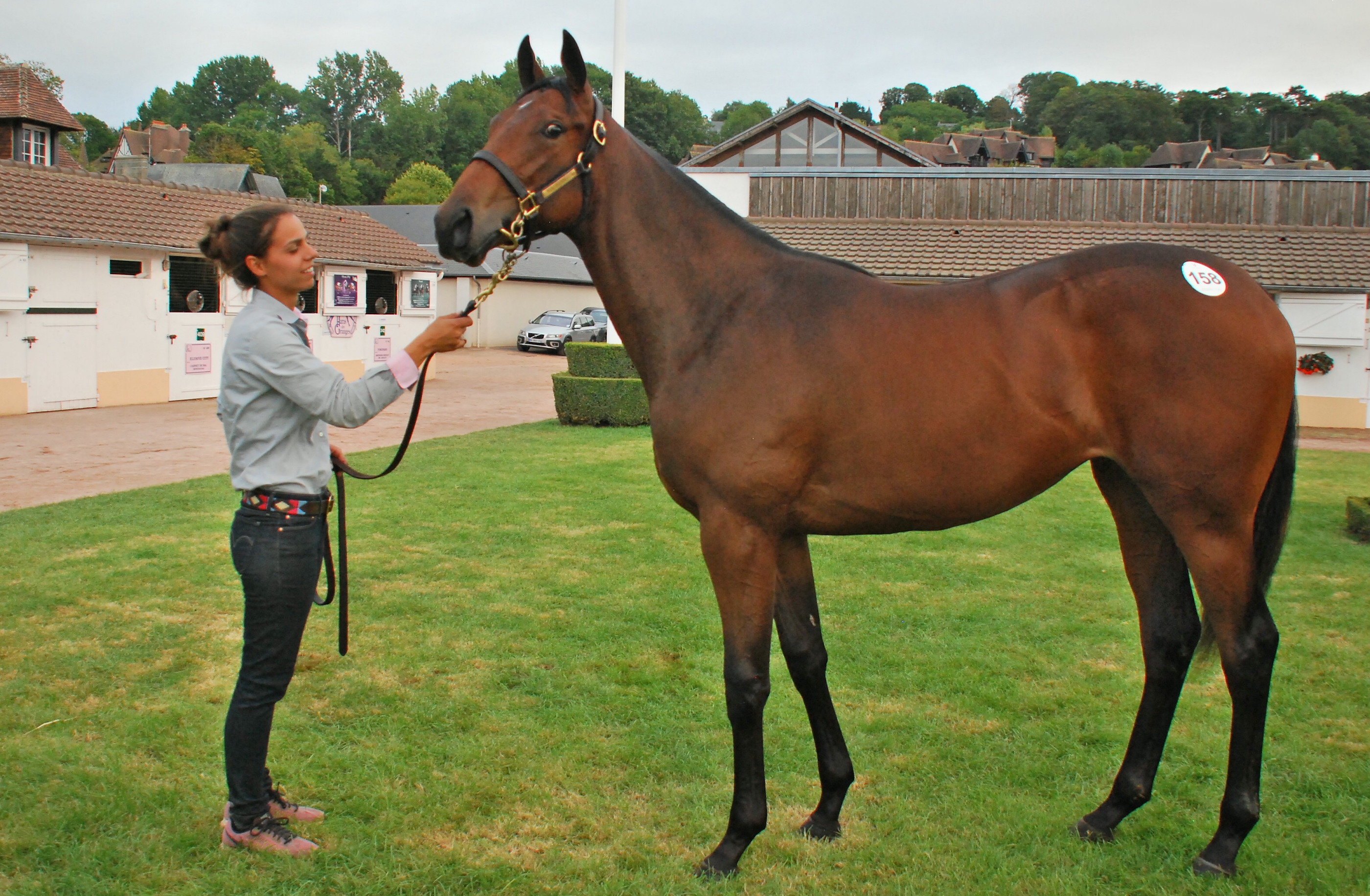 Selling well in Europe: This American Pharoah filly out of Marbre Rose went for €850,000 at the Arqana yearling sales in France in August 2018. Now named Lashara and trained by Mark Casse, she has won twice. Photo: John Gilmore