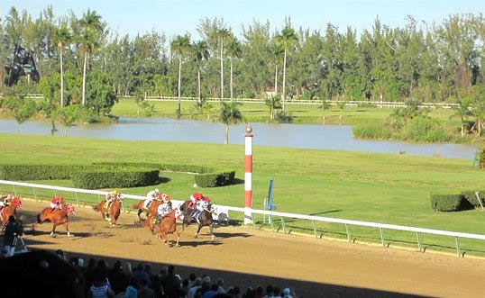 Hialeah Park in Florida, which closed in 2001, was Andy Beyer’s favorite racetrack