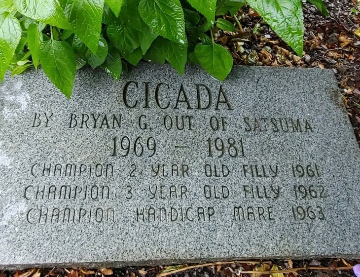 Lest we forget: The marker at Cicada’s grave at Versailles, Kentucky