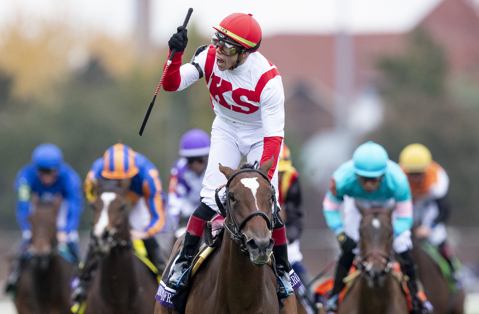 Newspaperofrecord (Irad Ortiz) winning the Breeders’ Cup Juvenile Turf at Churchill Downs in 2018. She was “the right horse” to take to Royal Ascot, says Chad Brown, adding, “I should have [taken her].” Photo: Alex Evers/Eclipse Sportswire/CSM/Breeders’ Cup