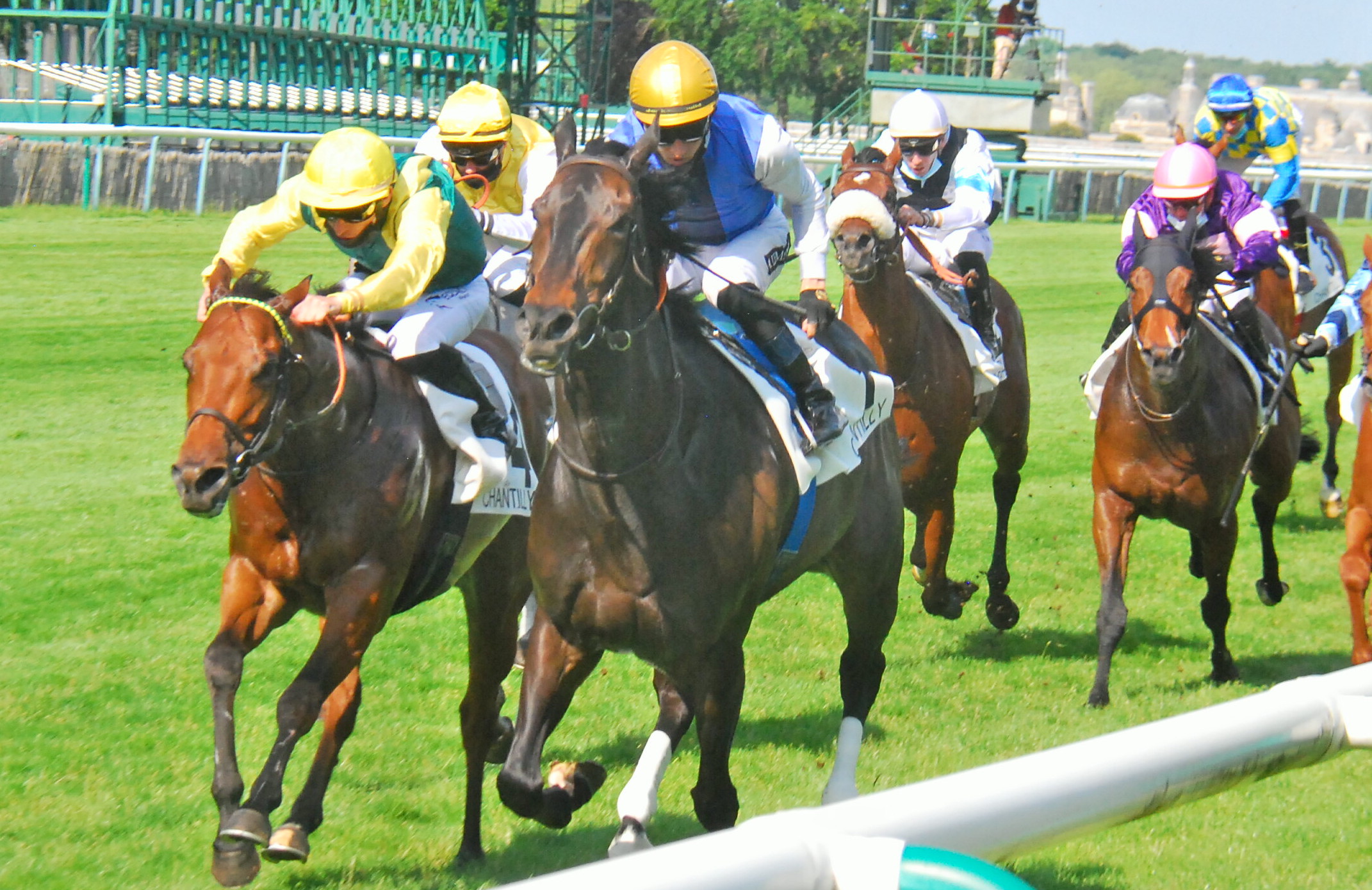 Pradaro (Aurelien Lemaitre, blue, yellow cap, inside) winning the Prix Gros-Chene at Chantilly on June 6. Photo: John Gilmore 