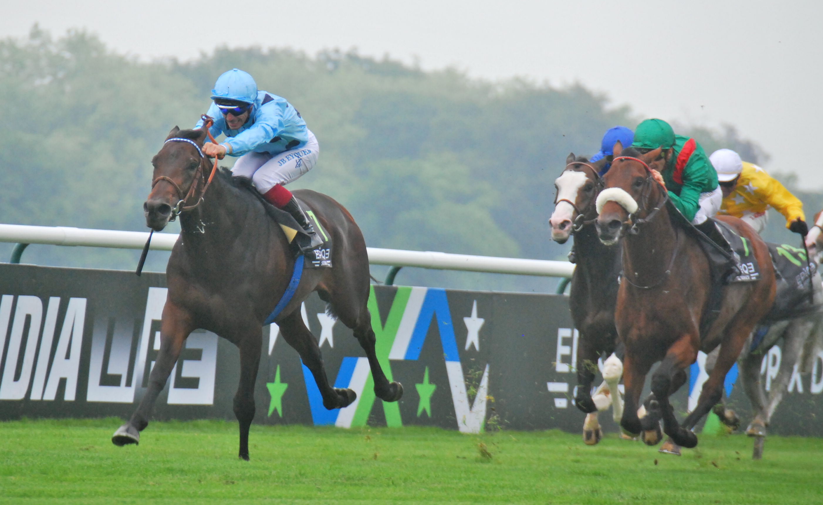 Almanzor, bought as a yearling at the Arqana August sale in 2014, wins the Prix du Jockey Club. He also landed the British and Irish Champion Stakes. Photo: John Gilmore