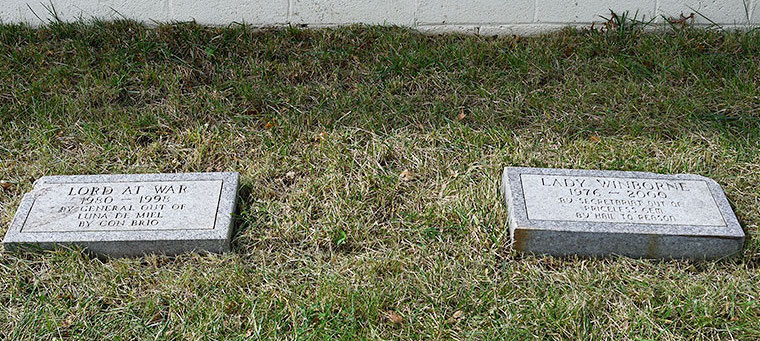 They had six foals together, so it was only fitting that Lady Winborne and Lord At War should be buried alongside each other at Wimborne Farm in Kentucky, now part of Rosecrest Farm. Photo: Patricia McQueen