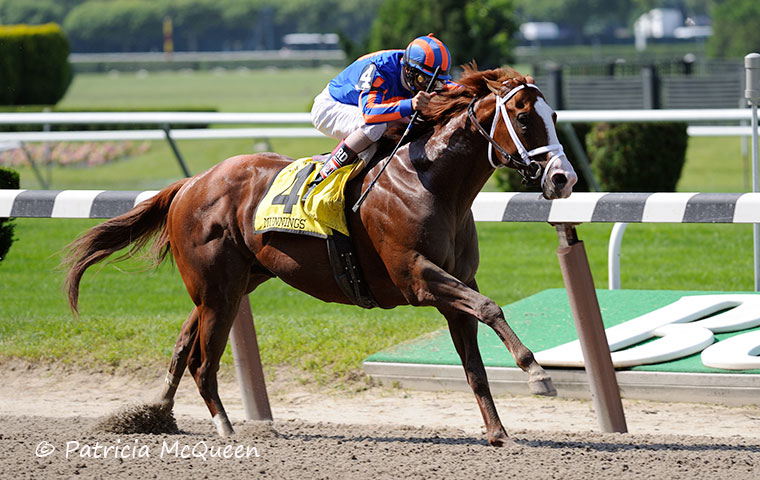 Lady Winborne is the great-granddam of multiple Graded stakes winner and successful stallion Munnings, pictured winning the 2009 Woody Stephens Stakes at Belmont Park. Photo: Patricia McQueen