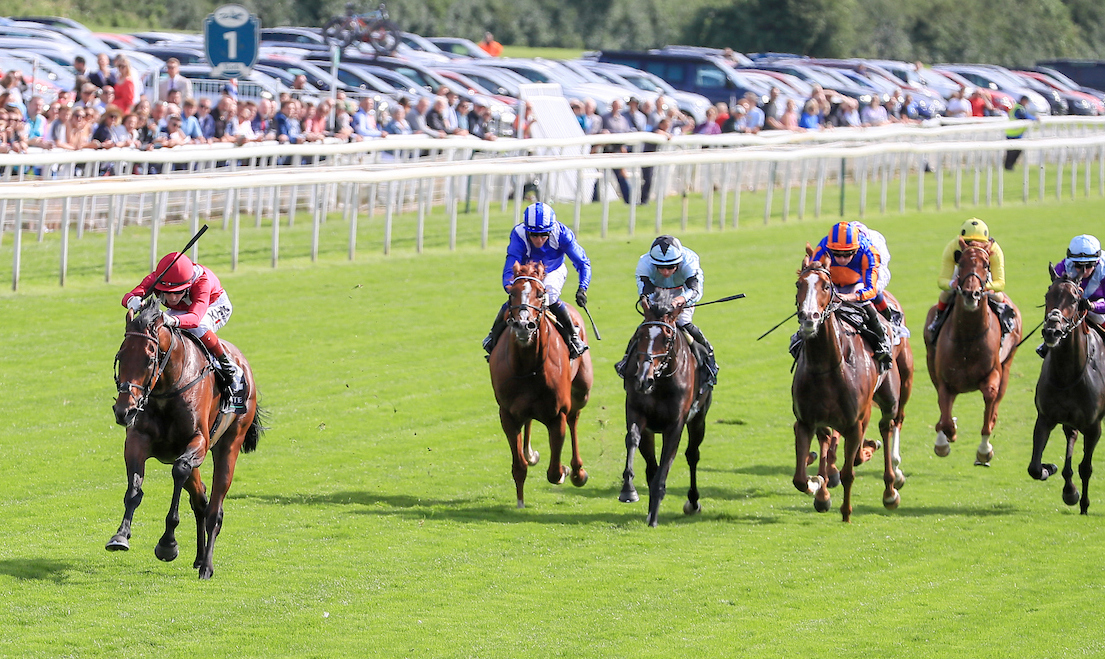 Tremendous on turf: Mishriff and Egan leave a star field trailing in their wake in the G1 Juddmonte International at York in August. Photo: Mark Cranham/focusonracing.com