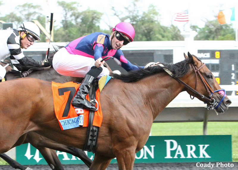 Sale graduate: The Acclamation filly Abby Hatcher wins the G3 Chicago Stakes on the Polytrack at Arlington in June. Photo: Coady