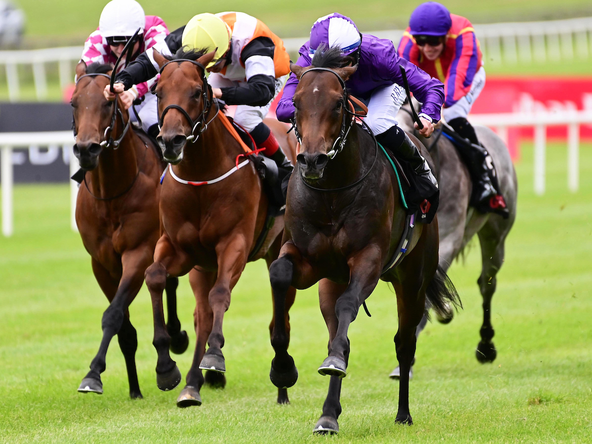 Sale graduate: Go Bears Go (purple) takes the G2 Anglesey Stakes at the Curragh in June. Photo: Healy/focusonracing.com