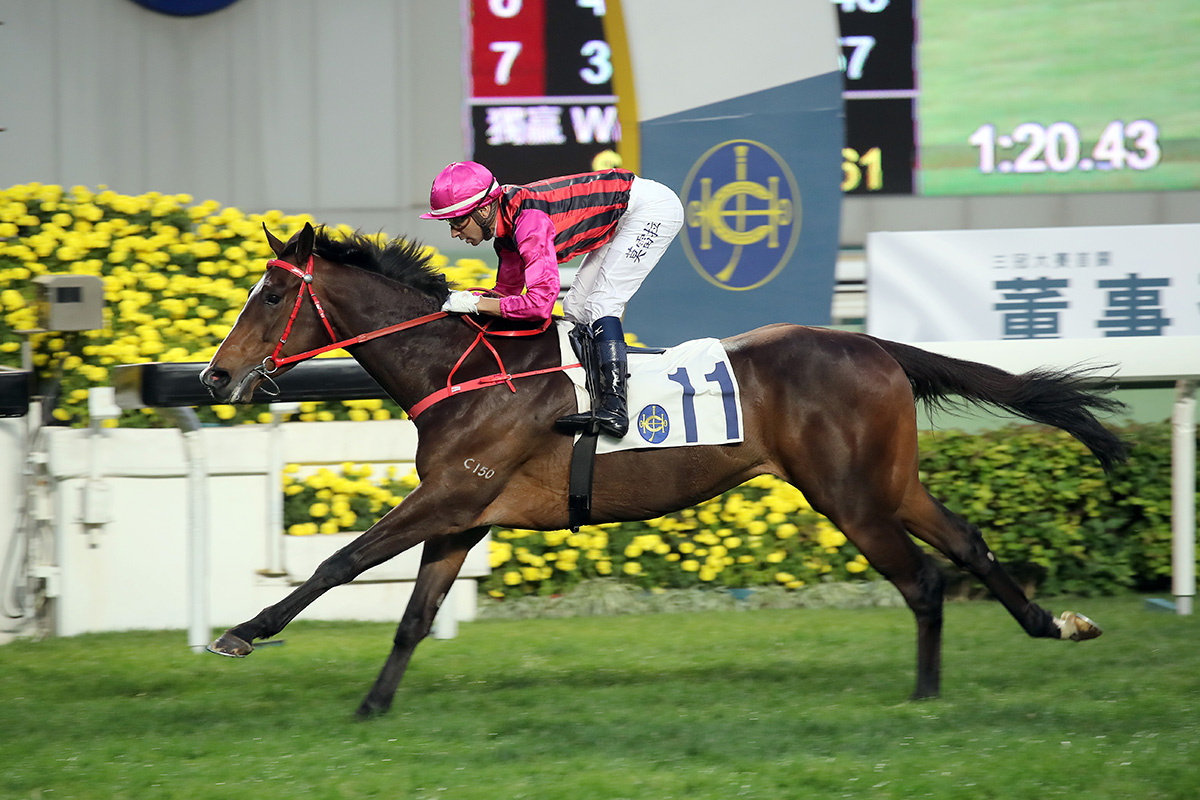 Sale graduate: Waikuku has won more than £3,300 in prize money in a thriving career in Hong Kong. Photo: Hong Kong Jockey Club