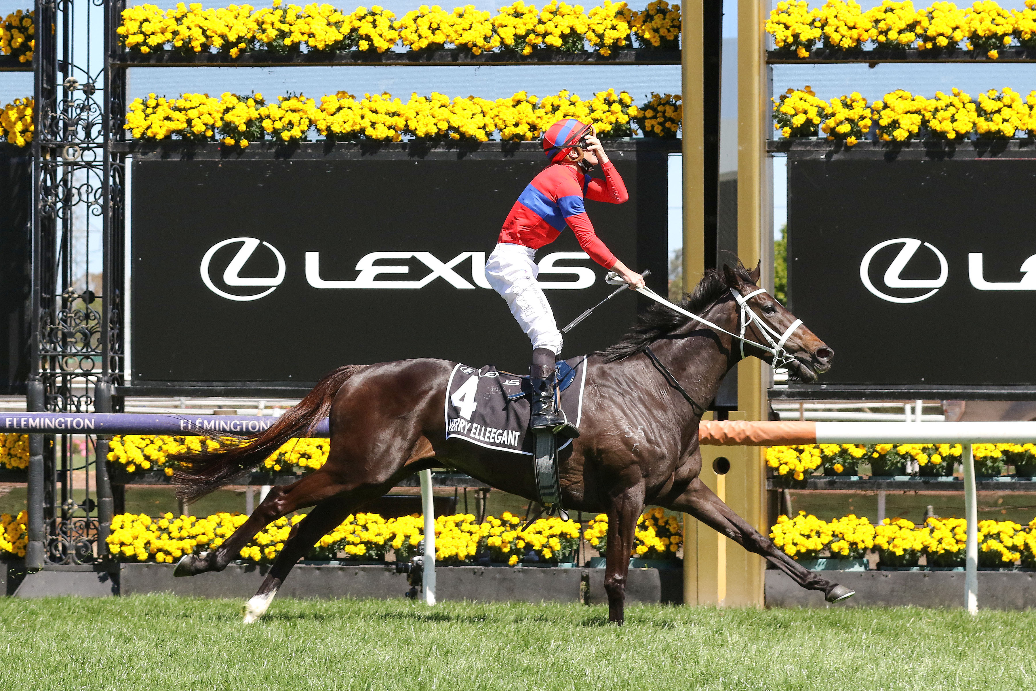 Another angle on that special moment for James McDonald and Verry Elleegant, both bred in New Zealand (like trainer Chris Waller). Photo: Bruno Cannatelli