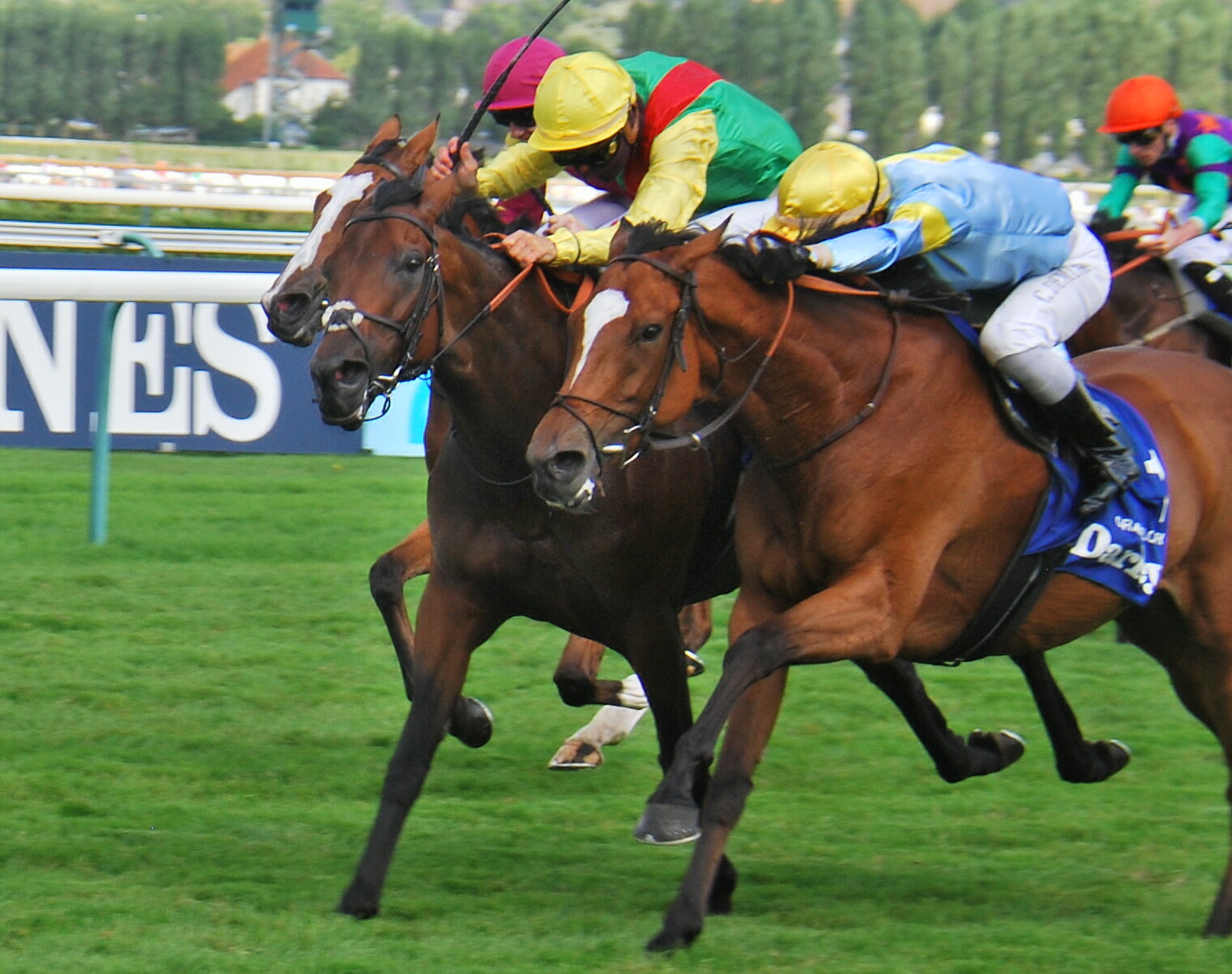 G1 glory: Grand Glory (blue and yellow) just gets the better of Audarya in the Prix Jean Romanet at Deauville in August. Photo: John Gilmore