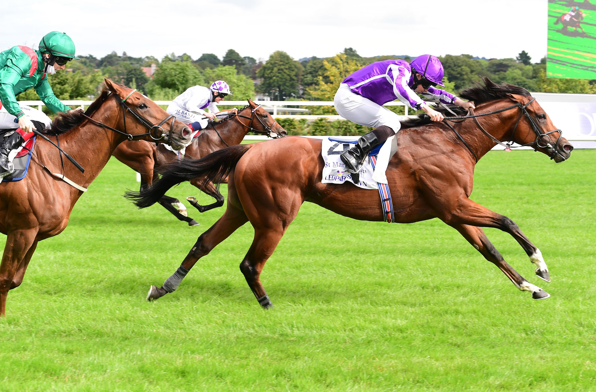 Turf Horse of the Year St Mark’s Basilica pictured winning the Irish Champion Stakes from Tarnawa (left) and Poetic Flare at Leopardstown in September. Photo: Healy/focusonracing.com