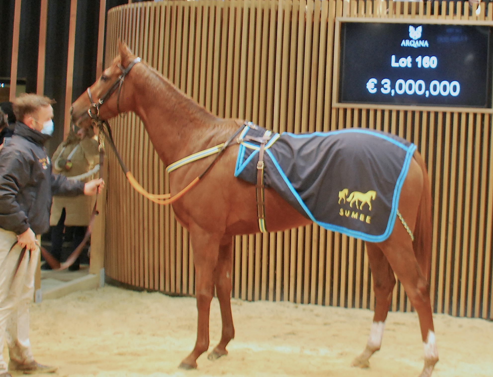 Three-million-dollar filly: G1 winner Rougir at Arqana’s December Breeding stock sale last year. Photo: John Gilmore