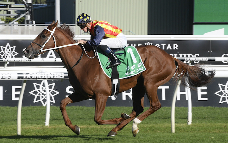 Nature Strip: will be without regular jockey James McDonald in Black Caviar Lightning Stakes. Photo: Racing and Sports