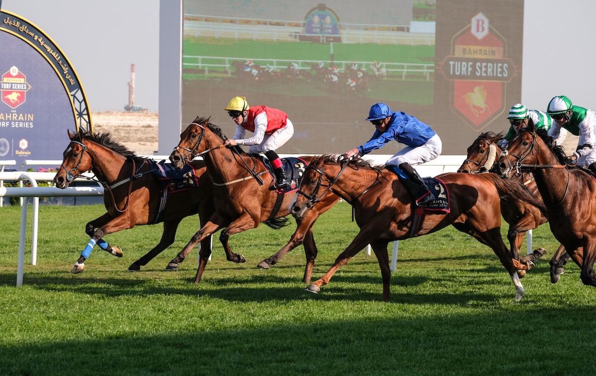 Silent Film (James Doyle, blue) bears down on front-running Shebil Aljazira. Photo: REHC / Megan Ridgwell