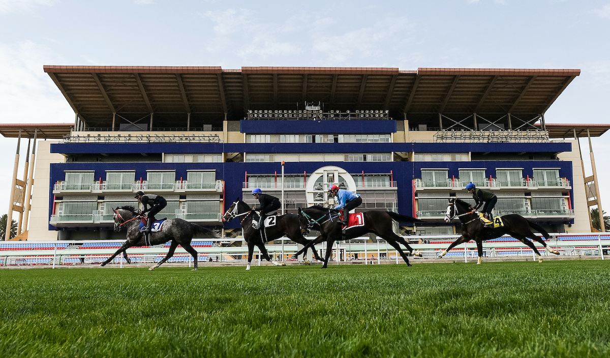 Testing the turf: James Doyle, William Buick, Frankie Dettori and Danny Tudhope take part in trials on the new grass circuit at King Abdulaziz racecourse before the first Saudi Cup meeting in 2020. Photo: Jockey Club of Saudi Arabia / Martin Dukoupil