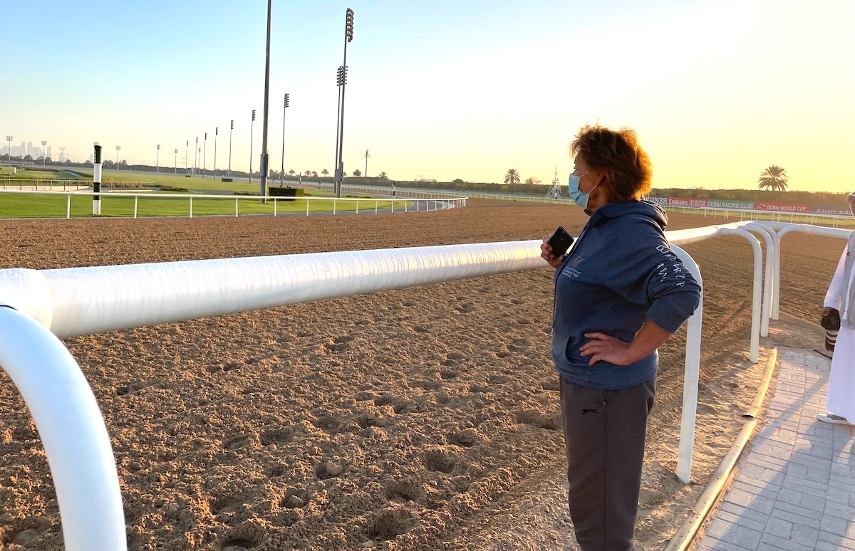 Lesley White, a familiar figure on the international scene, has been travelling Mick Channon’s overseas runners for decades. Photo: Laura King