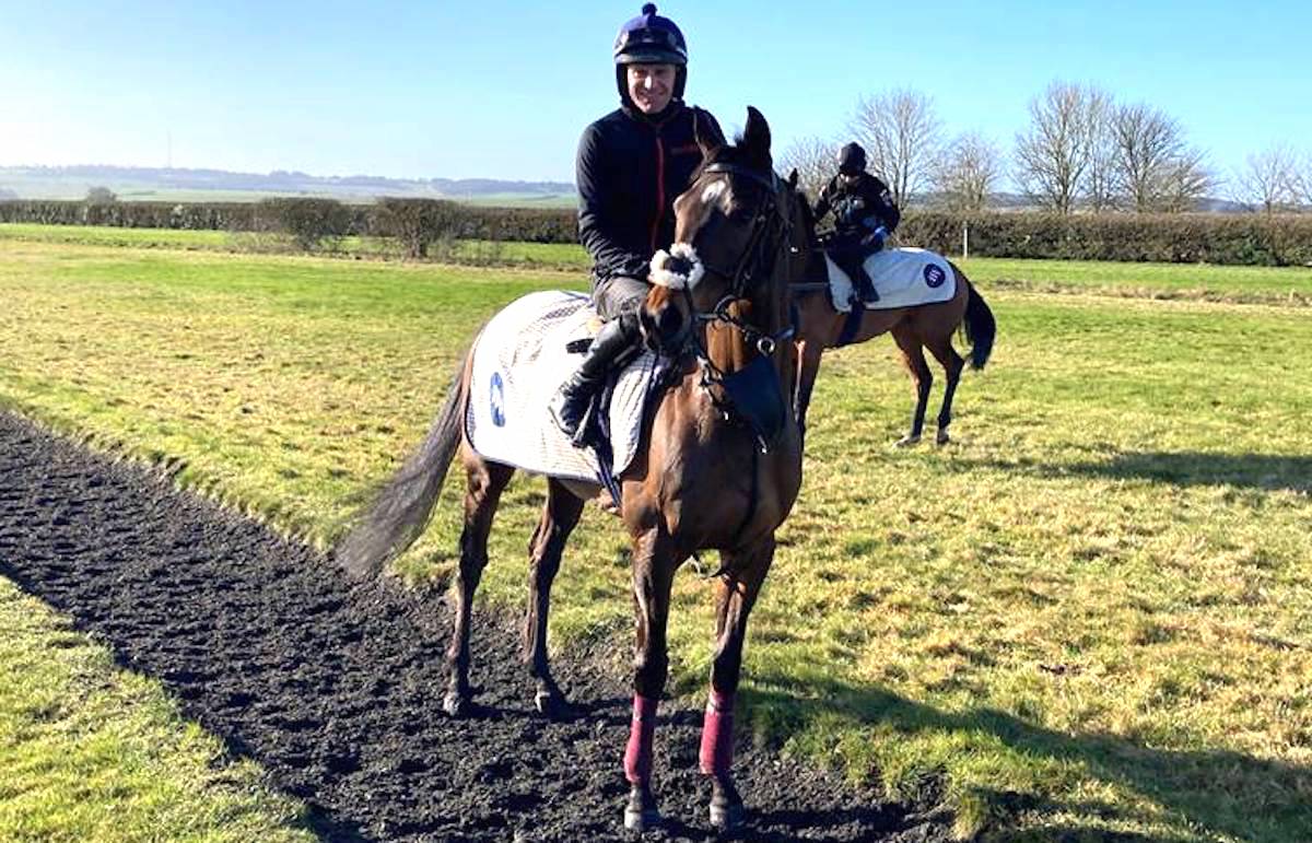 Cheltenham Festival bound: Stag Horn and jockey Nick Scholfield. Photo: Jockey Club