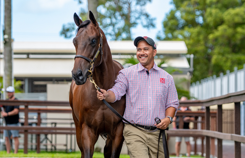 Million-dollar looks: the A$1.9m sales topper. Photos: courtesy of Magic Millions