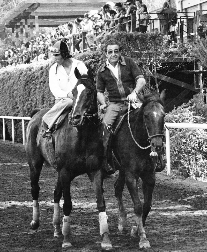 Trainer Keith Stucki accompanies Ancient Title and Laffit Pincay, past the backstretch cafeteria porch at Hollywood Park after a morning workout. Photo provided by Edward Kip Hannan, courtesy of Hollywood Park