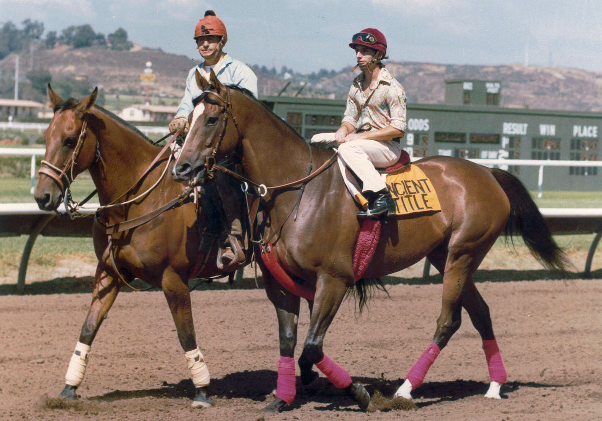 Crowd-pleasing Ancient Title steps out for an afternoon workout at Del Mar. Photo: Del Mar Thoroughbred Club