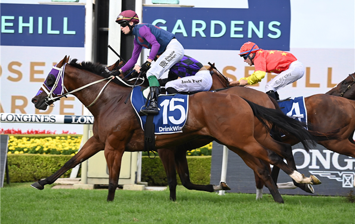 In the saddle: Robbie Dolan partners Shelby SIxtysix to victory in the G1 Galaxy at Rosehill in Sydney last weekend. Photo: Photo: Racing and Sports/Steve Hart